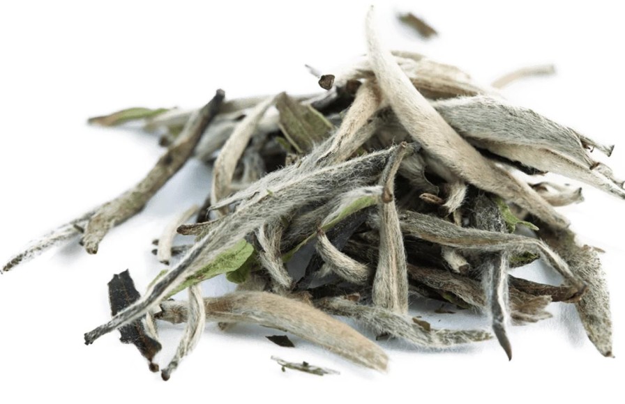 Organic Tea Arbor Teas Fair Trade | Organic Silver Needle White Tea